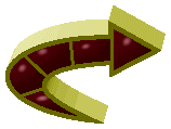 arrow30(1).gif (17492 bytes)